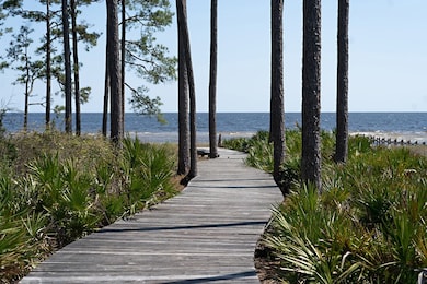 168 Lightning Bug Ln, Saint Teresa, FL 32358 - photo 6