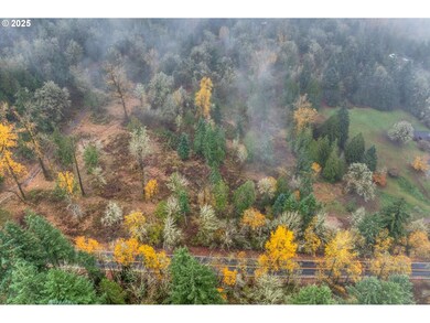 0000 Grimm Rd, Kelso, WA 98626 - photo 4