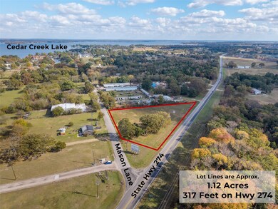 TBD Hwy 274, Kemp, TX 75143 - photo 7