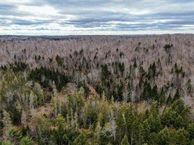 Lot 96 Freedom Way, Prentiss Township T7 R3 Nbpp, ME 04487 - photo 6