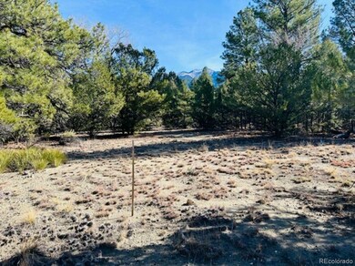 Landscape open for a perfect driveway.