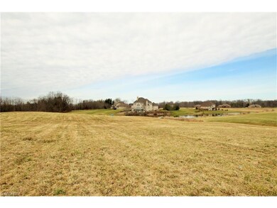 10440 Thicket Trail, Doylestown, OH 44230 - photo 4