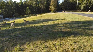 Lot 1 & 2, plus a few Deer