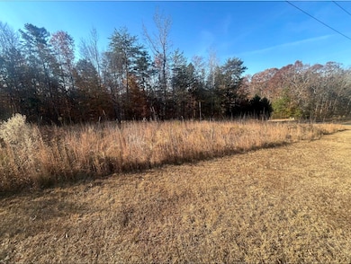 305 Lawtonwood Ln, Spartanburg, SC 29376 - photo 3