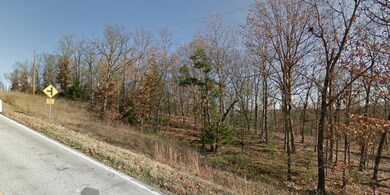 Tbd State Hwy 76, Shell Knob, MO 65747 - photo 5