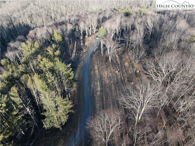 WR-41 Clouds Rest Dr, Beech Mountain, NC 28604 - photo 5