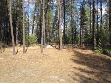 X E Emily Ln, Spokane, WA 99208 - photo 6