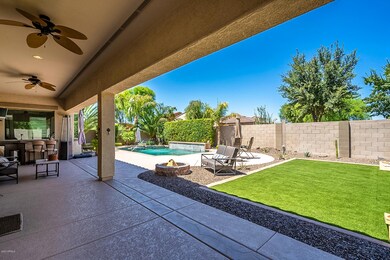 Backyard Oasis