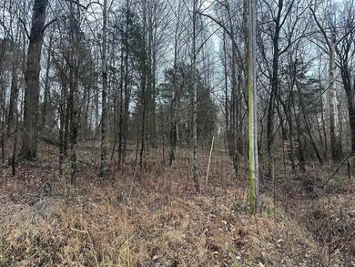 0 N Gillock Rd, Glasgow, KY 42141 - photo 6