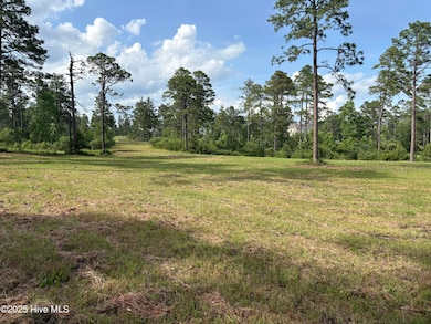 355 Fox Box Rd, Vass, NC 28394 - photo 2