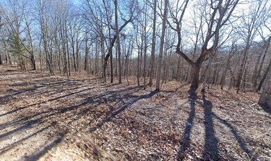 0 Eagle Dr, Eucha, OK 74342 - photo 6