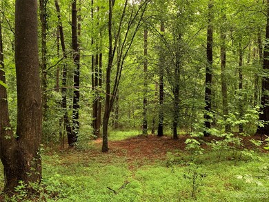 148 Ridgeview Rd, 12 Ridgeview Rd unit 124, Statesville, NC 28625 - photo 6