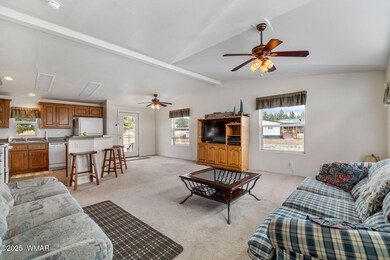42765 U S 180, Alpine, AZ 85920 - photo 4