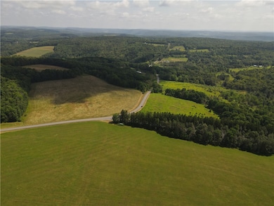 0 Ramey Rd, New Lisbon, NY 13411 - photo 3