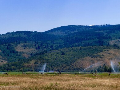 IMG_1349