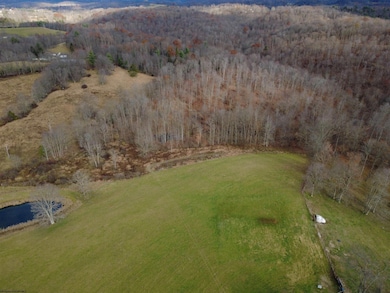 9505 Route 20 South Rd, French Creek, WV 26218 - photo 2