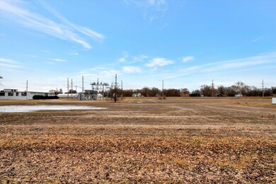 324 N Walnut St, Onarga, IL 60955 - photo 6