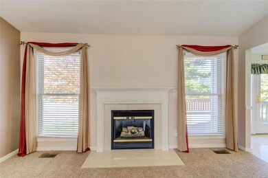 Here is a closer look at the fireplace area.