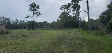 20948 Corkscrew Rd, Estero, FL 33928 - photo 4