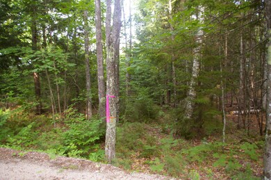 Lot#2 Fernald Hills Way Rd, Stow, ME 04037 - photo 5