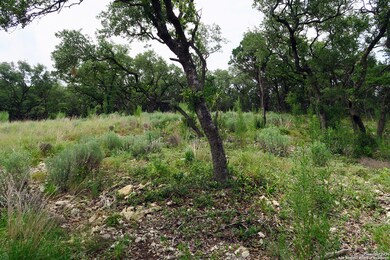 20322 Bobwhite Run, San Antonio, TX 78256 - photo 2