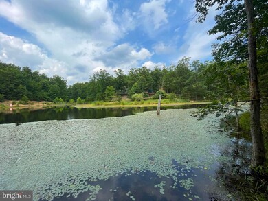 0 Rt 28 unit WVHS2000266, Romney, WV 26757 - photo 4