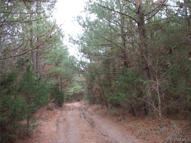 000 Valentine Mill Rd, Louisa, VA 23093 - photo 5