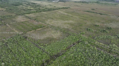 0 SW 382nd St, Homestead, FL 33034 - photo 5