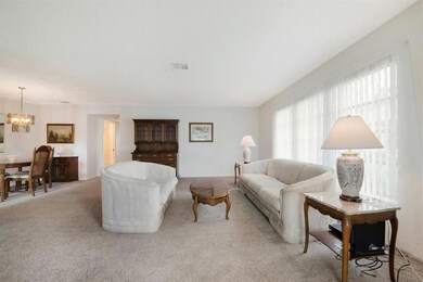 Neutral Carpet