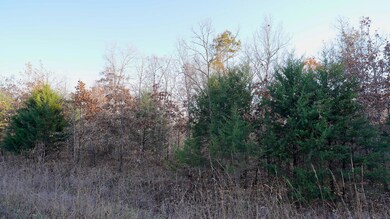 Commercial Land in MO6