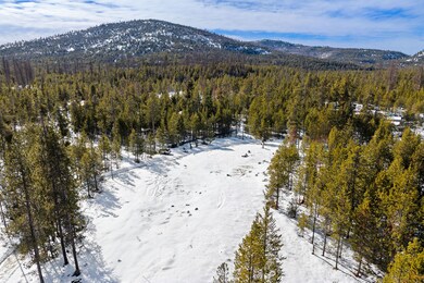 855 Badger Hollow Trail, Marion, MT 59925 - photo 5