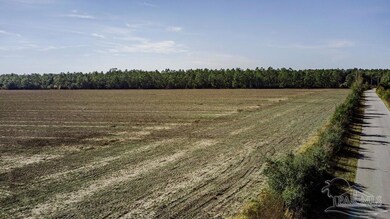 2A Segrest Rd, Chumuckla, FL 32571 - photo 5