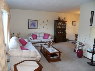 Large living room with neutral carpeting.