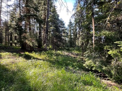 Beautifully Wooded