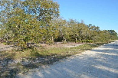 000 W Royal Oak Dr, Keaton Beach, FL 32348 - photo 5
