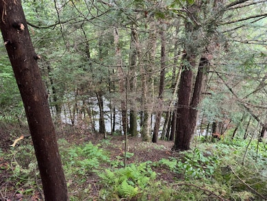 W4514 Cth C, Merrill, WI 54452 - photo 6