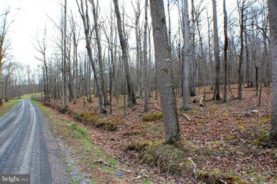 Lot 33 Beech Ln, Capon, WV 26801 - photo 3