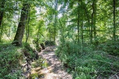 1602 Patterson Rd, Yazoo City, MS 39194 - photo 5