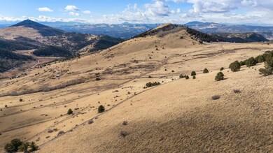 Tbd Private Rd, Cripple Creek, CO 80813 - photo 5