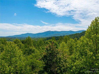 Lot 145 Wee Burn Cove, Mill Spring, NC 28756 - photo 7