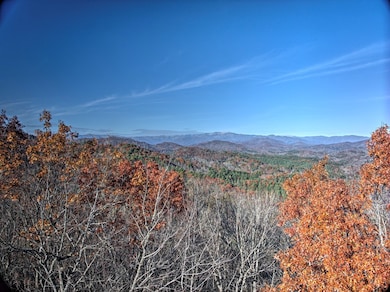 324 Little Bear Rd, Bryson City, NC 28713 - photo 2