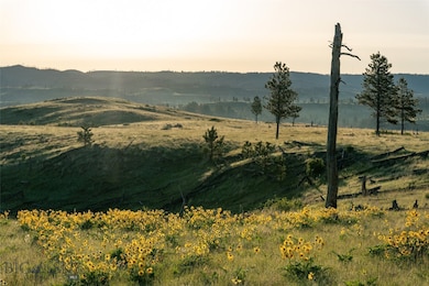 151 Big Clearing Rd, Roundup, MT 59072 - photo 6