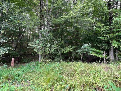 138 Deer Meadow Rd unit 138, Webster, NH 03303 - photo 2