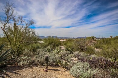 Sahuaro Vista - 105 (5)