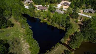 10858 Deer Creek Dr, Tyler, TX 75707 - photo 6