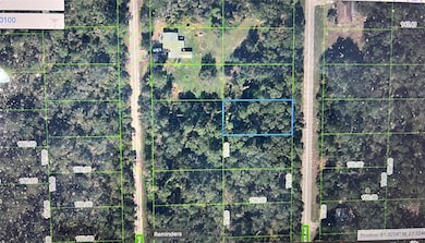 448 Fletcher Ave, Lake Placid, FL 33852 - photo 5