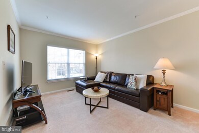 1812 Locust Grove Rd, Silver Spring, MD 20910 - photo 7