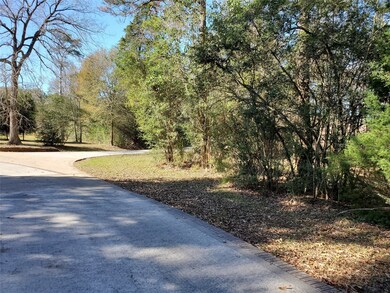 22502 Rosehurst Dr, Tomball, TX 77377 - photo 3