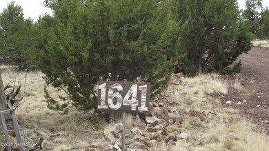 1641 Lara Ln, Williams, AZ 86046 - photo 6
