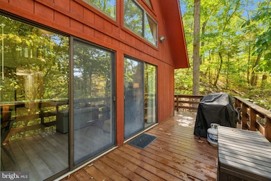 932 Dawn Dr, Basye, VA 22810 - photo 5